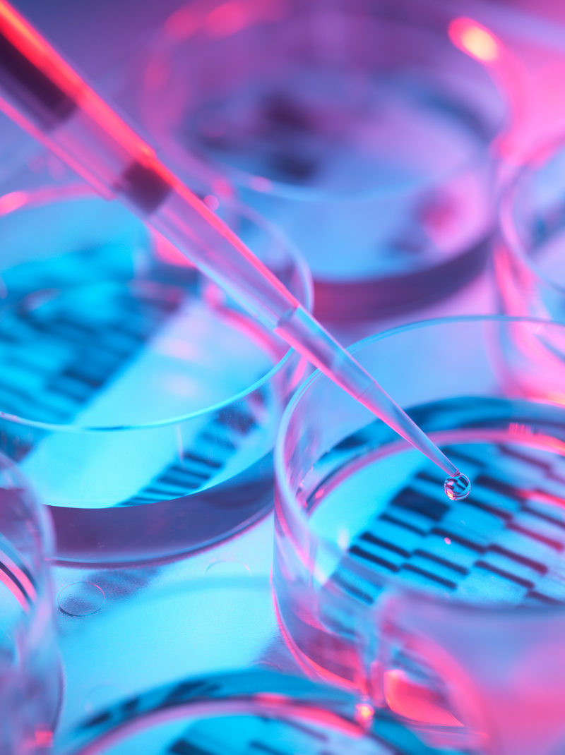 Desarrollo e Investigación
