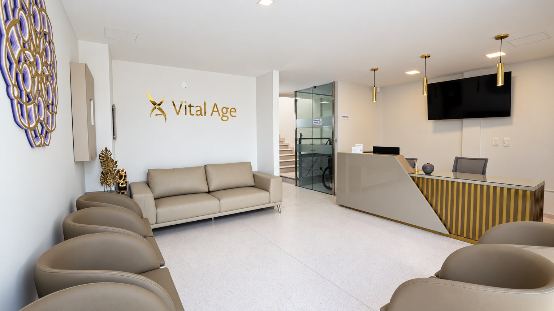 Recepción de Vital Age